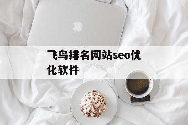 飞鸟排名网站seo优化软件