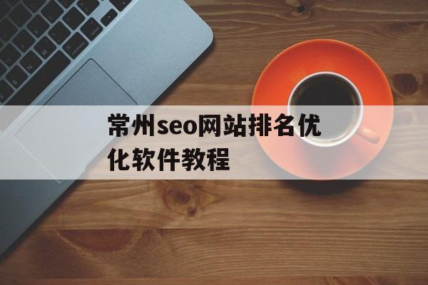 常州seo网站排名优化软件教程
