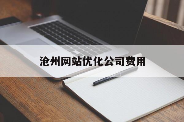 沧州网站优化公司费用