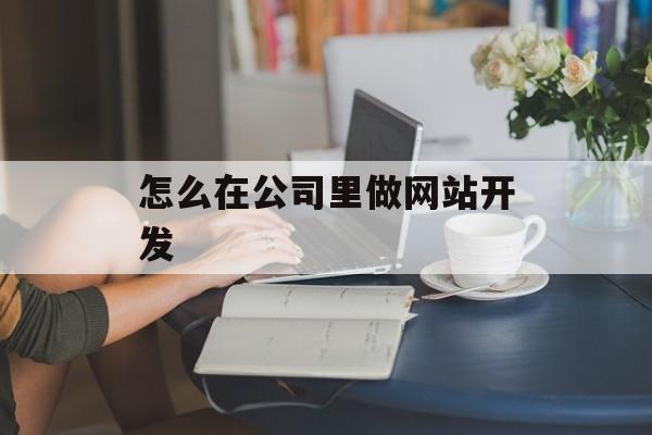 怎么在公司里做网站开发