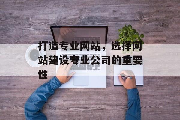 打造专业网站，选择网站建设专业公司的重要性