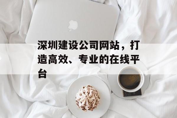 深圳建设公司网站，打造高效、专业的在线平台
