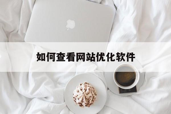 如何查看网站优化软件