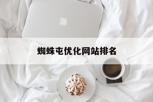 蜘蛛屯优化网站排名