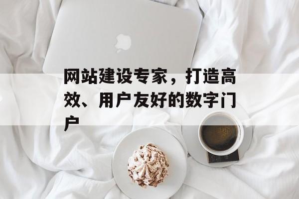 网站建设专家，打造高效、用户友好的数字门户