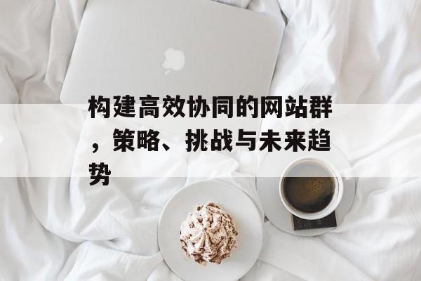 构建高效协同的网站群，策略、挑战与未来趋势