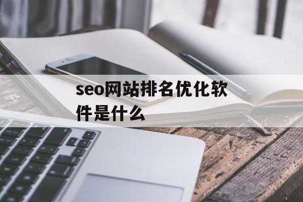 seo网站排名优化软件是什么
