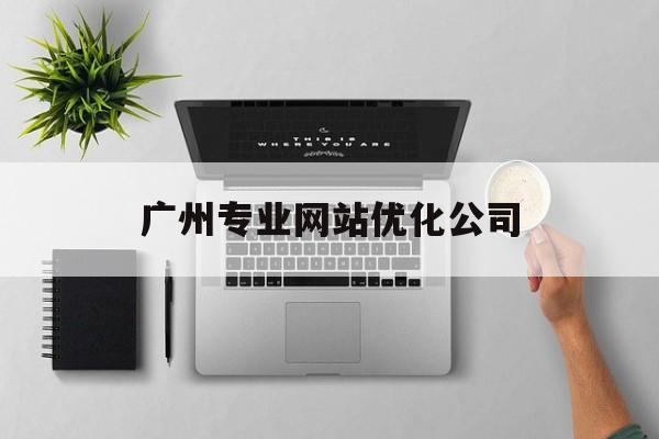 广州专业网站优化公司