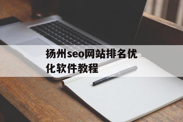 扬州seo网站排名优化软件教程