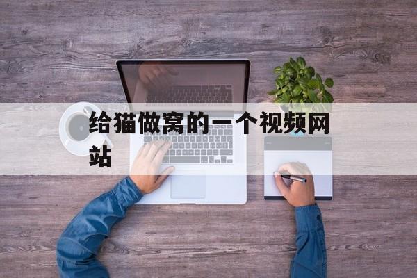 给猫做窝的一个视频网站