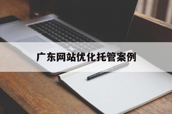 广东网站优化托管案例