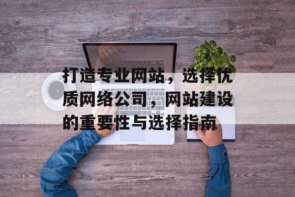 打造专业网站，选择优质网络公司，网站建设的重要性与选择指南