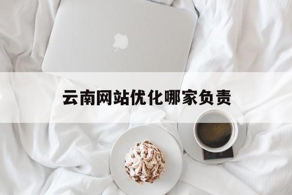 云南网站优化哪家负责