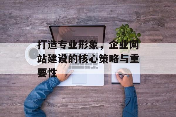 打造专业形象，企业网站建设的核心策略与重要性
