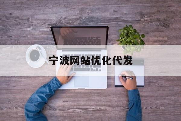 宁波网站优化代发