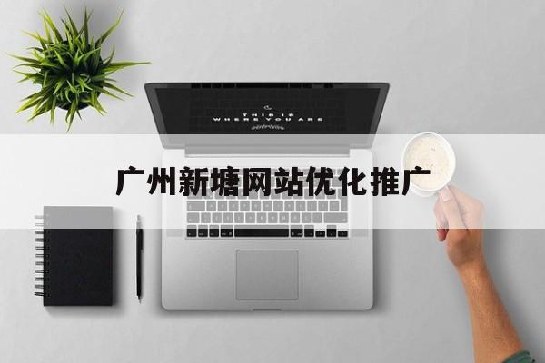 广州新塘网站优化推广