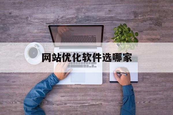 网站优化软件选哪家