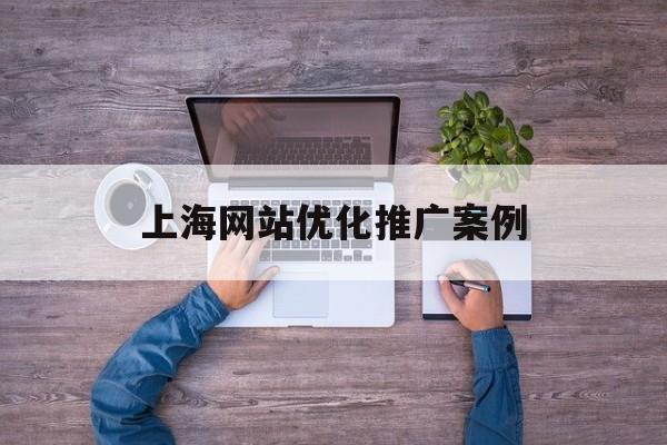 上海网站优化推广案例 上海网站优化推广案例