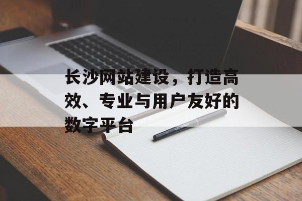 长沙网站建设，打造高效、专业与用户友好的数字平台