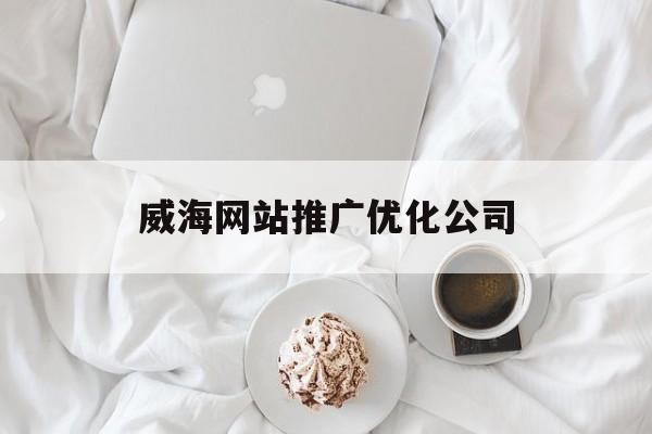 威海网站推广优化公司