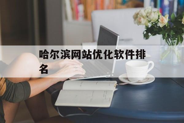 哈尔滨网站优化软件排名