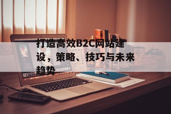打造高效B2C网站建设,策略、技巧与未来趋势 打造高效B2C网站建设,策略、技巧与未来趋势