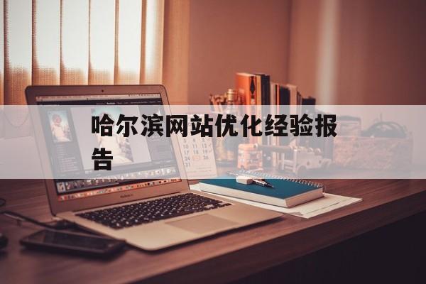 哈尔滨网站优化经验报告