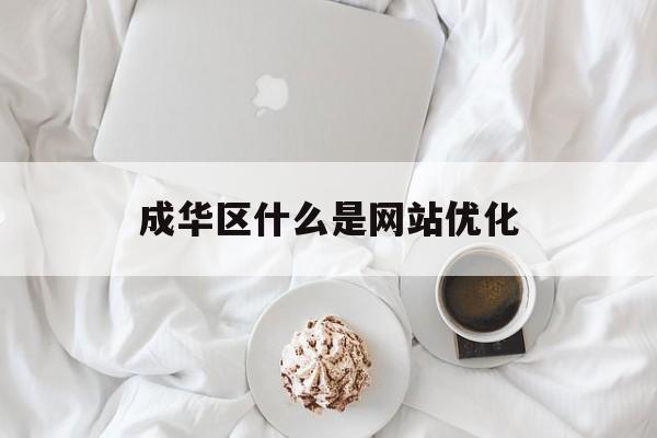 成华区什么是网站优化 成华区什么是网站优化
