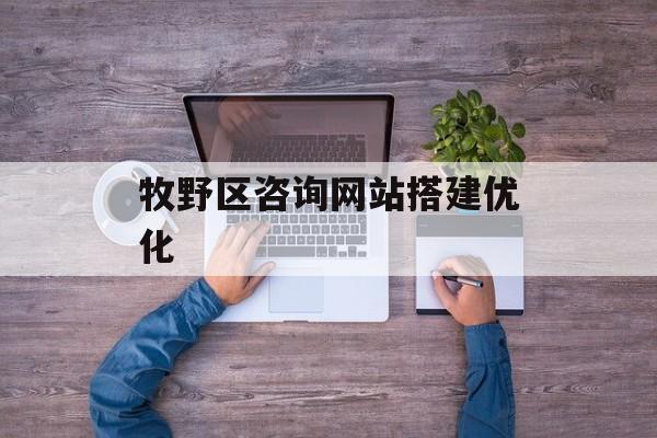 牧野区咨询网站搭建优化
