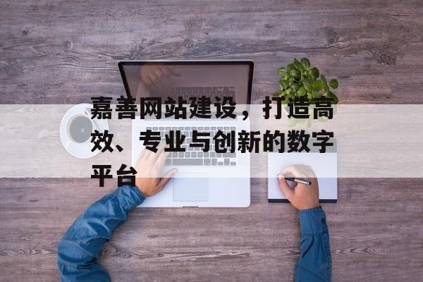 嘉善网站建设，打造高效、专业与创新的数字平台