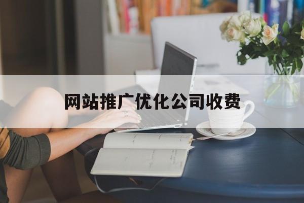 网站推广优化公司收费