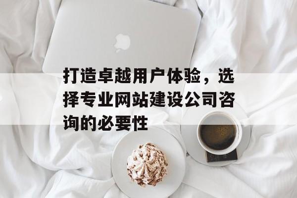 打造卓越用户体验,选择专业网站建设公司咨询的必要性 打造卓越用户体验,选择专业网站建设公司咨询的必要性